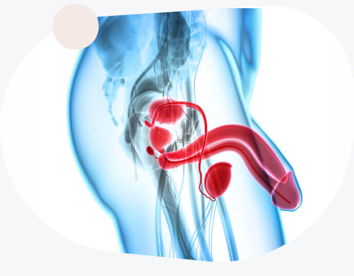 hormone booster for men in Canada